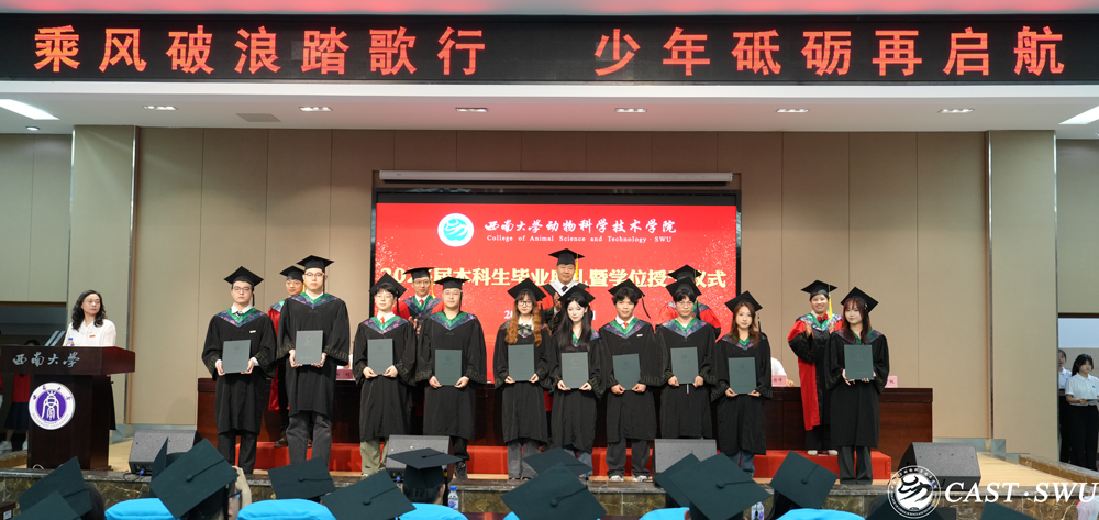 pa视讯官方集团