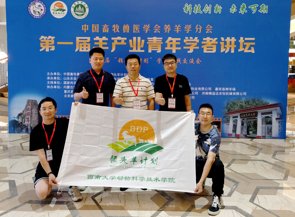 pa视讯官方集团