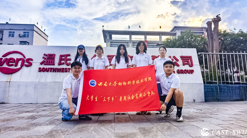 pa视讯官方集团