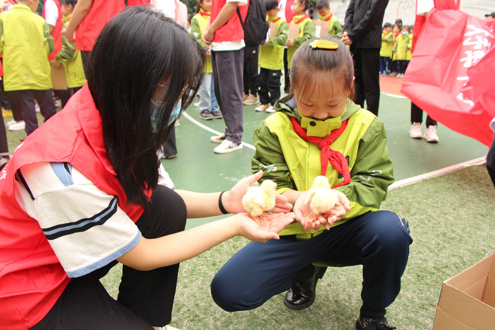pa视讯官方集团