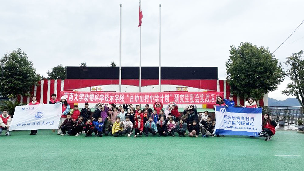 pa视讯官方集团