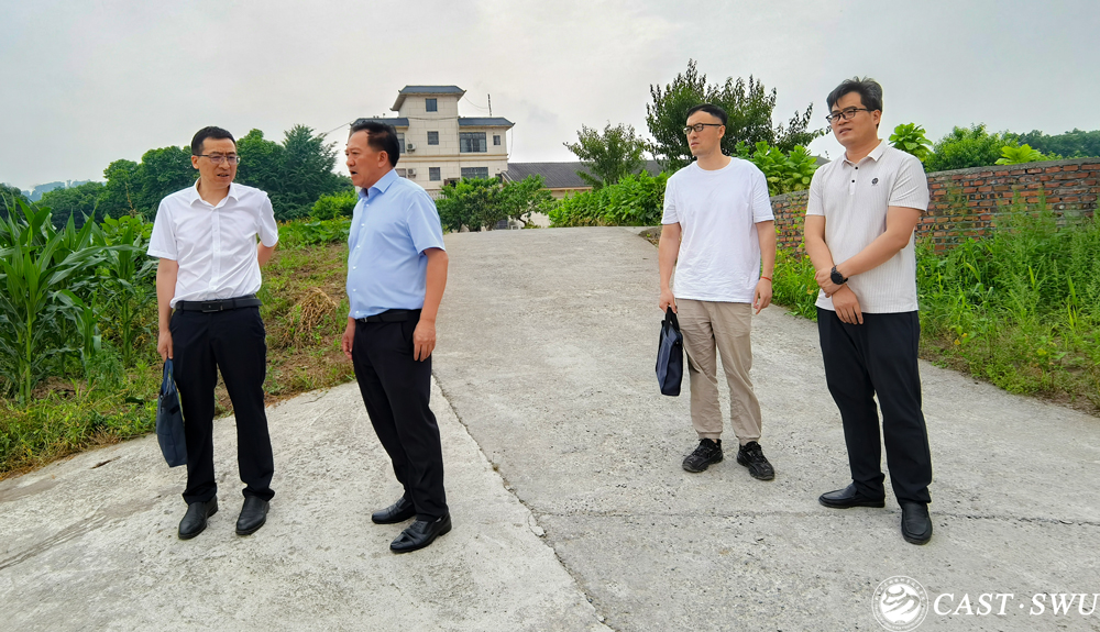 pa视讯官方集团