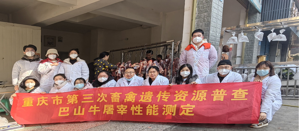 pa视讯官方集团