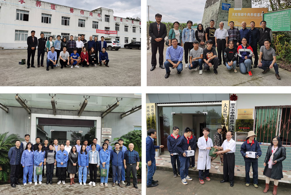 pa视讯官方集团