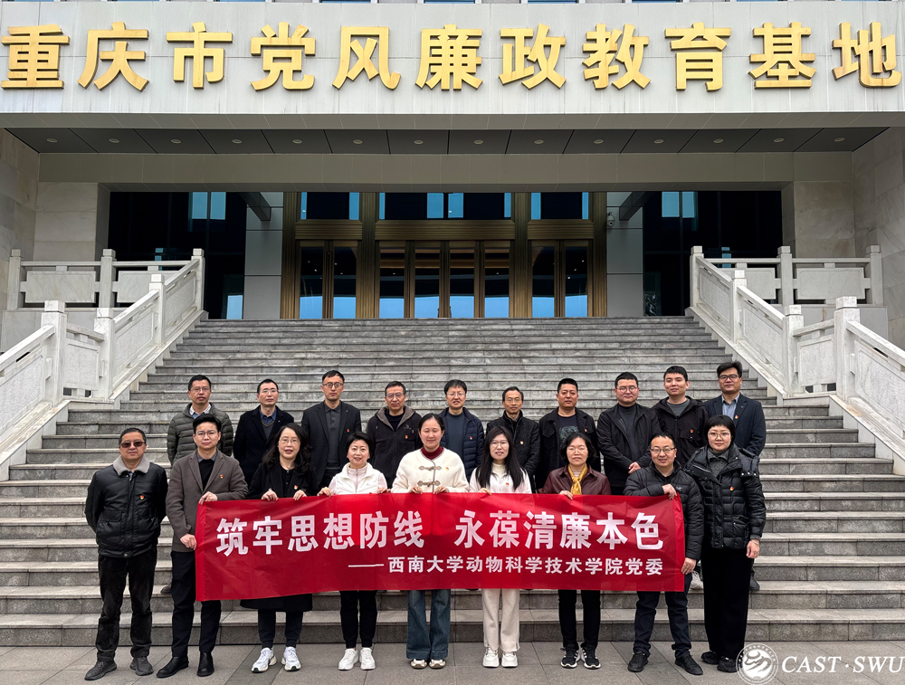 pa视讯官方集团