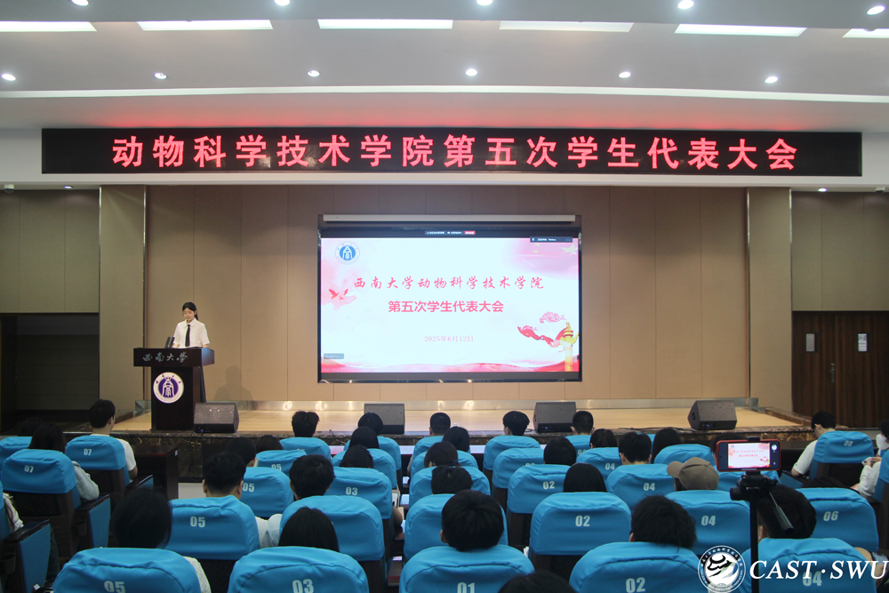 pa视讯官方集团