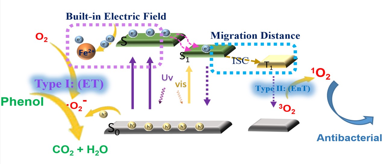 pa视讯官方集团