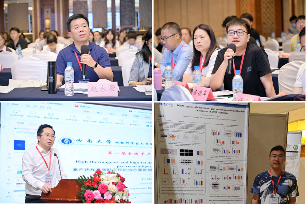 pa视讯官方集团