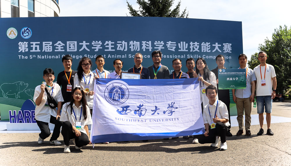 pa视讯官方集团