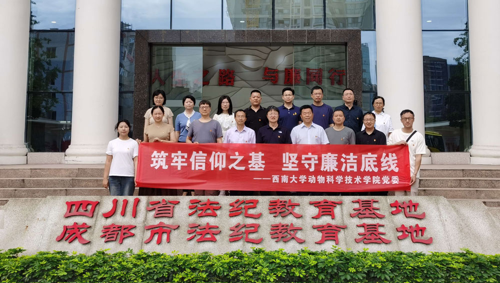 pa视讯官方集团