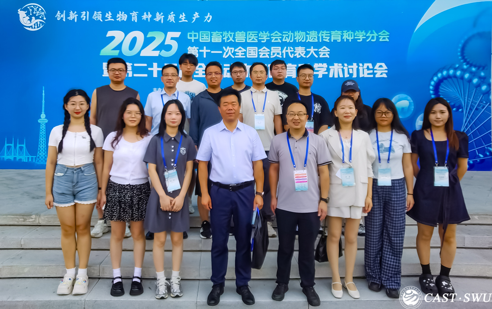 pa视讯官方集团