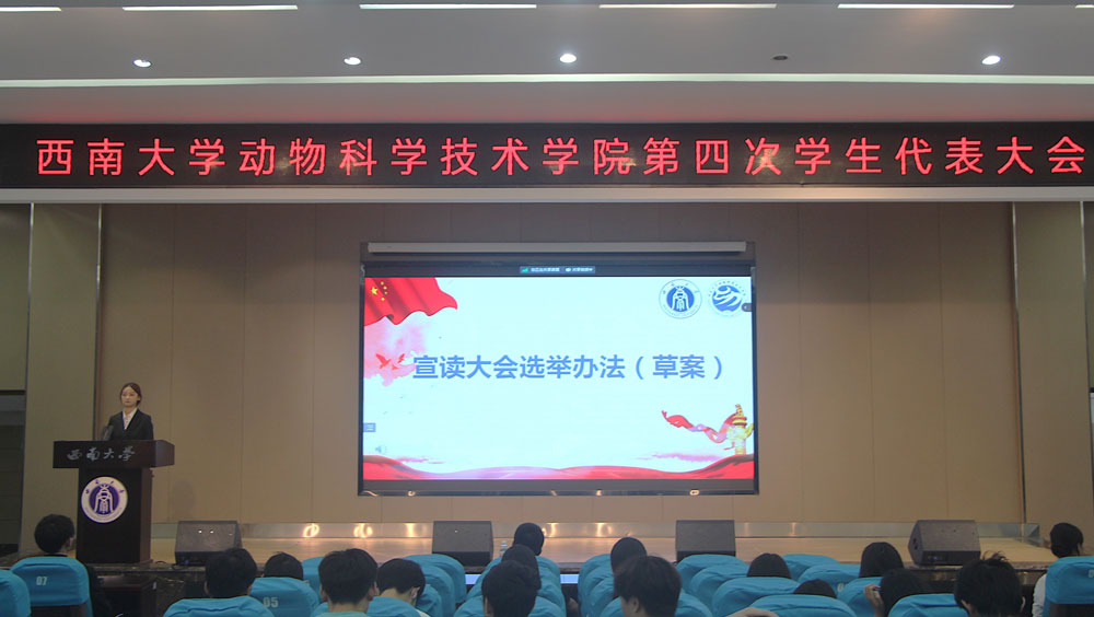 pa视讯官方集团