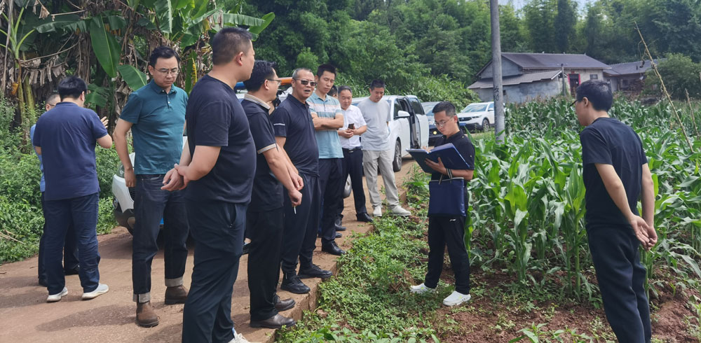 pa视讯官方集团