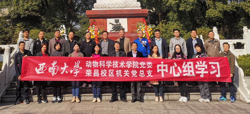 pa视讯官方集团