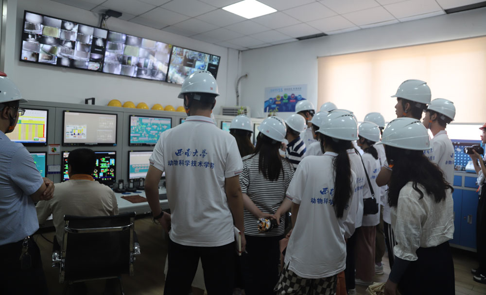 pa视讯官方集团