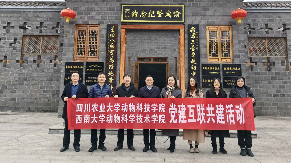 pa视讯官方集团