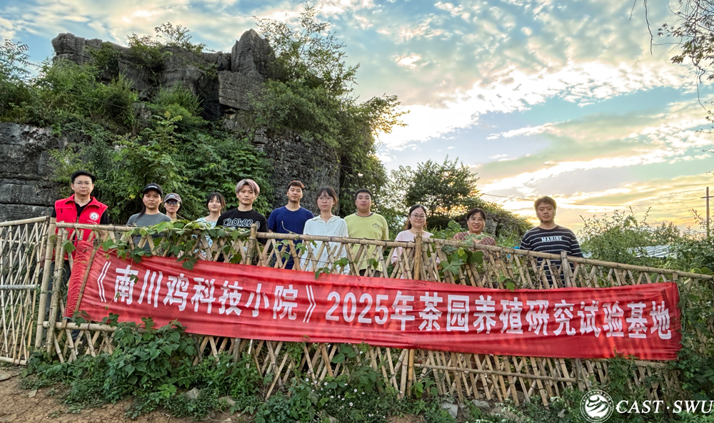 pa视讯官方集团