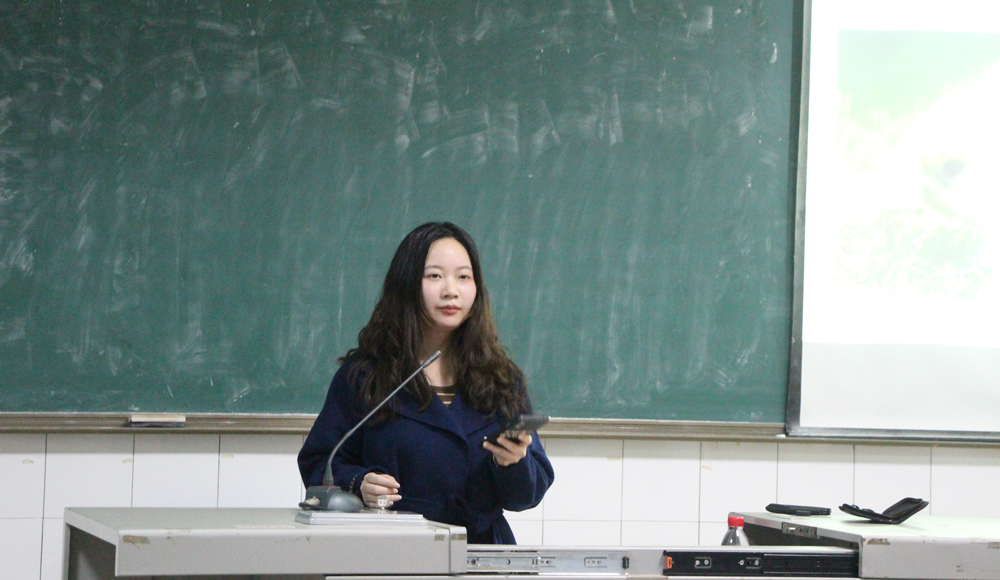 pa视讯官方集团