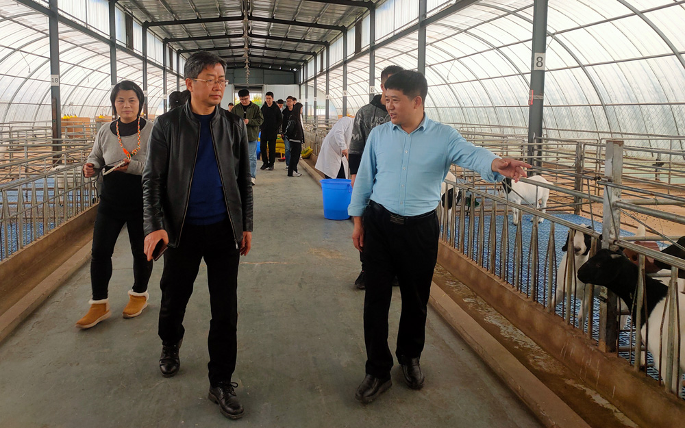 pa视讯官方集团