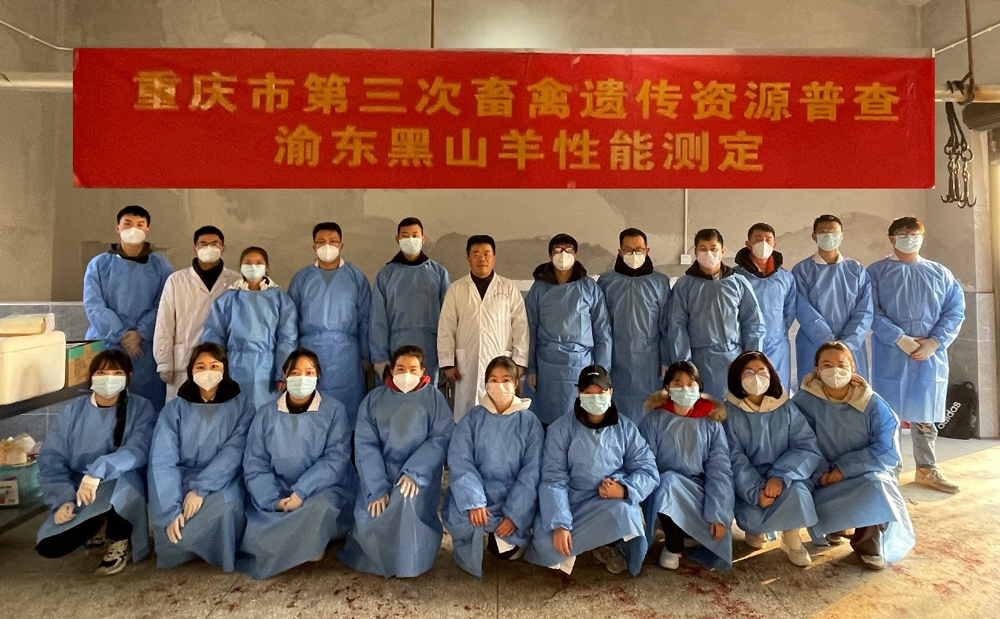 pa视讯官方集团