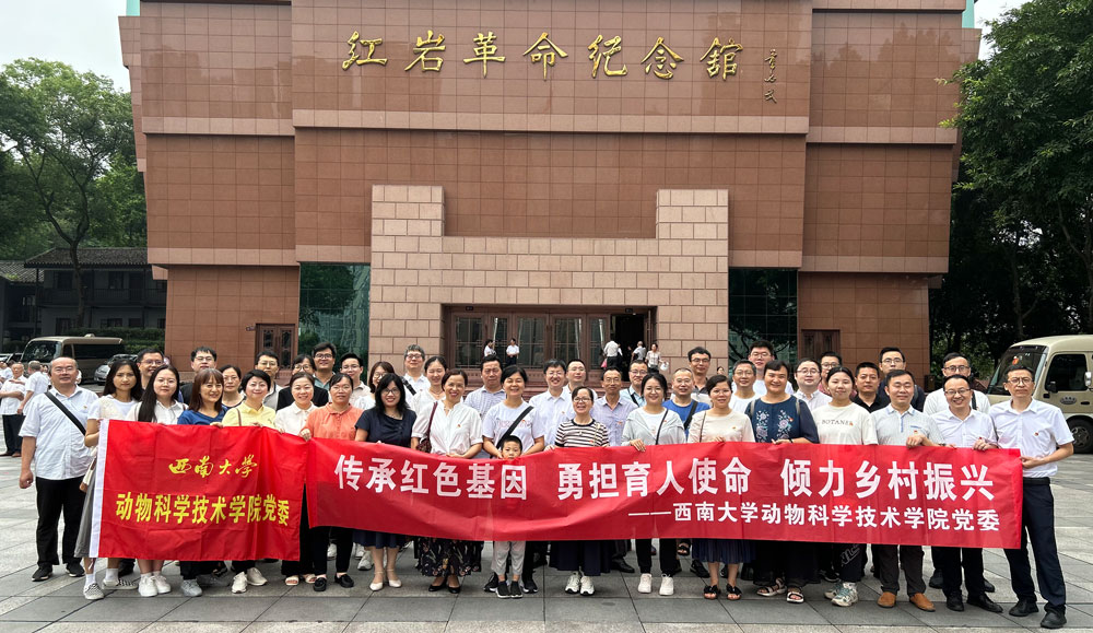 pa视讯官方集团