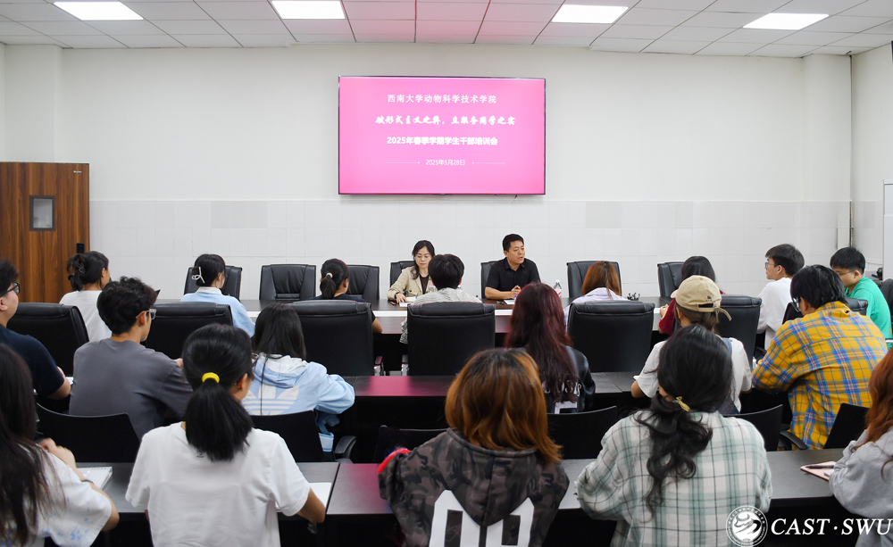 pa视讯官方集团