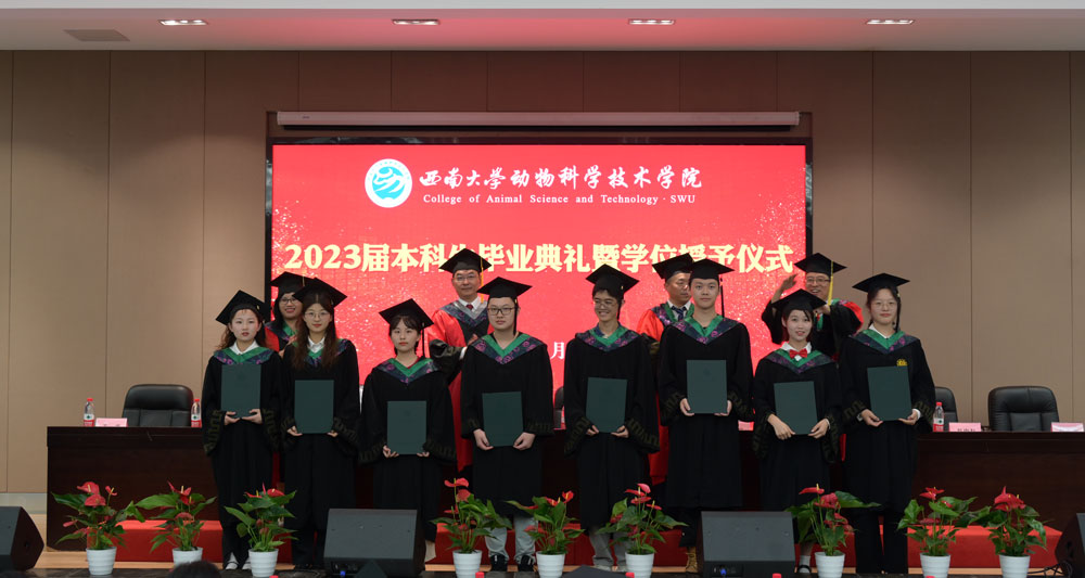 pa视讯官方集团