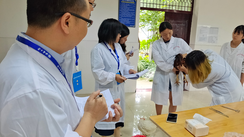 pa视讯官方集团