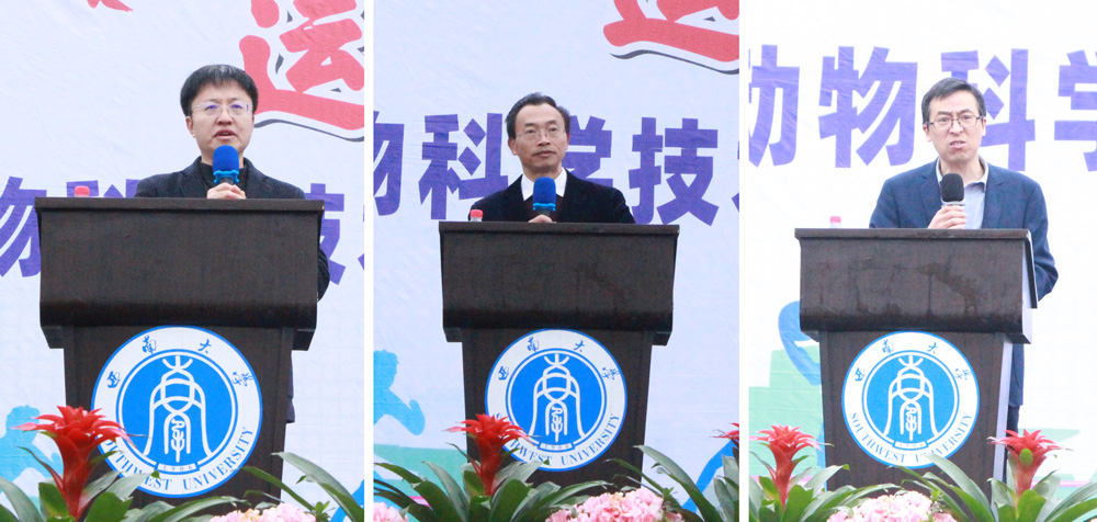 pa视讯官方集团