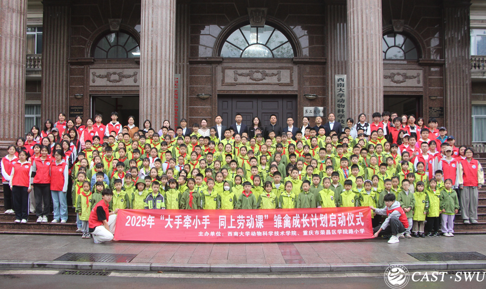 pa视讯官方集团