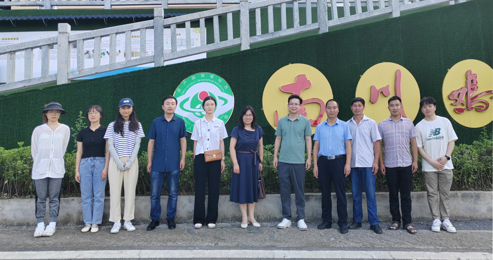 pa视讯官方集团