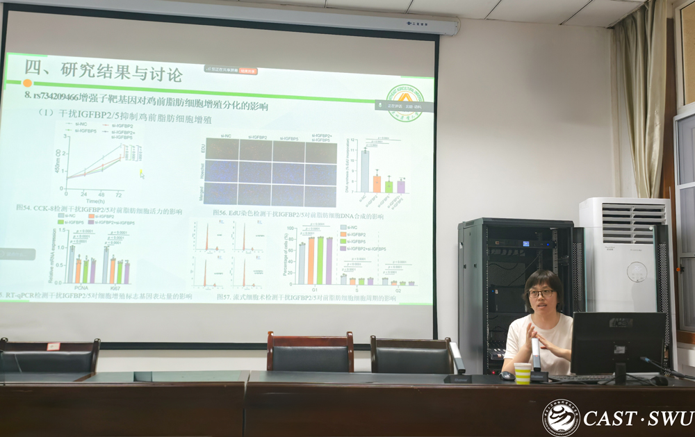 pa视讯官方集团