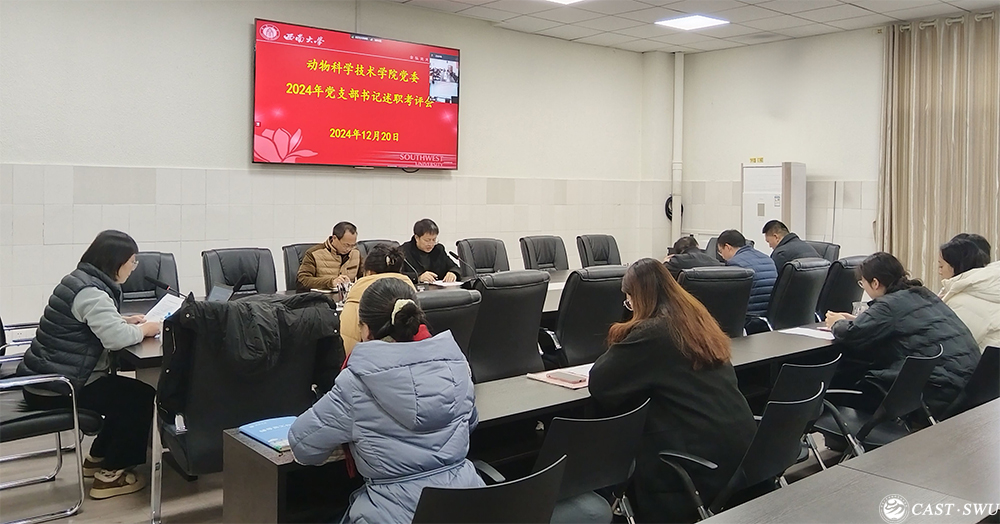 pa视讯官方集团