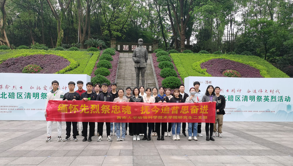 pa视讯官方集团