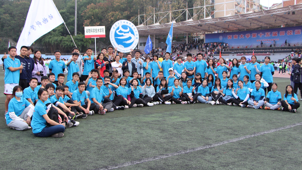 pa视讯官方集团