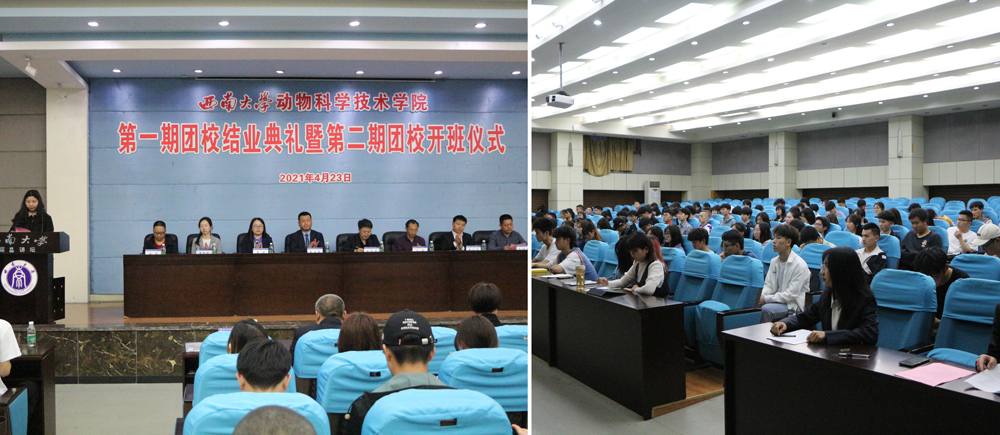 pa视讯官方集团