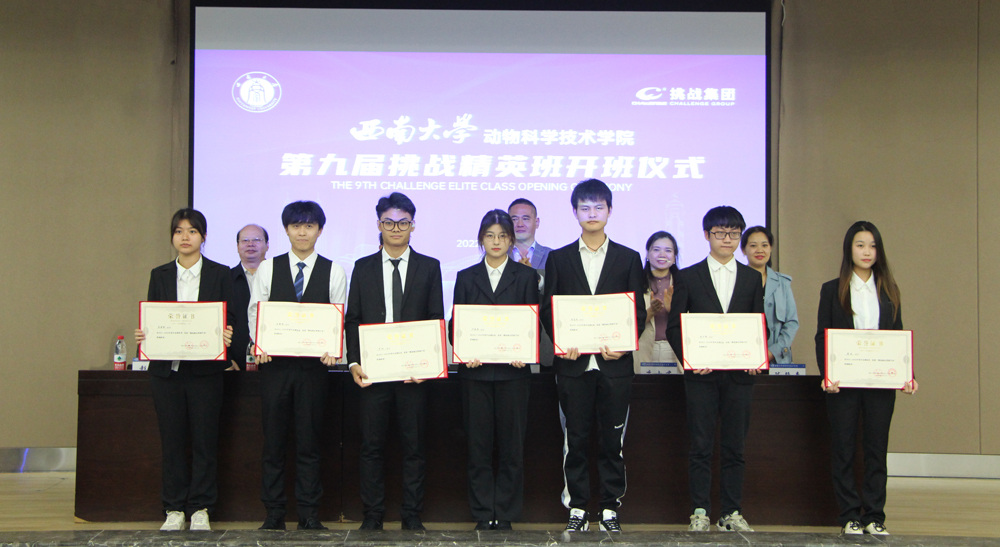 pa视讯官方集团