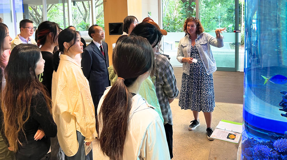 pa视讯官方集团