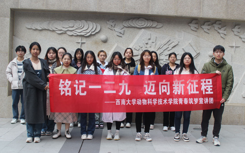 pa视讯官方集团