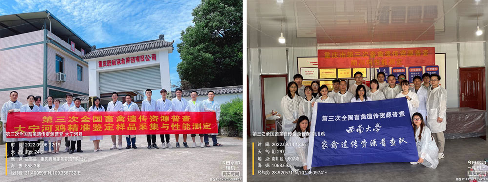 pa视讯官方集团