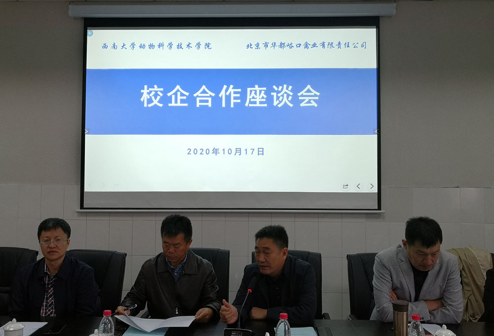 pa视讯官方集团