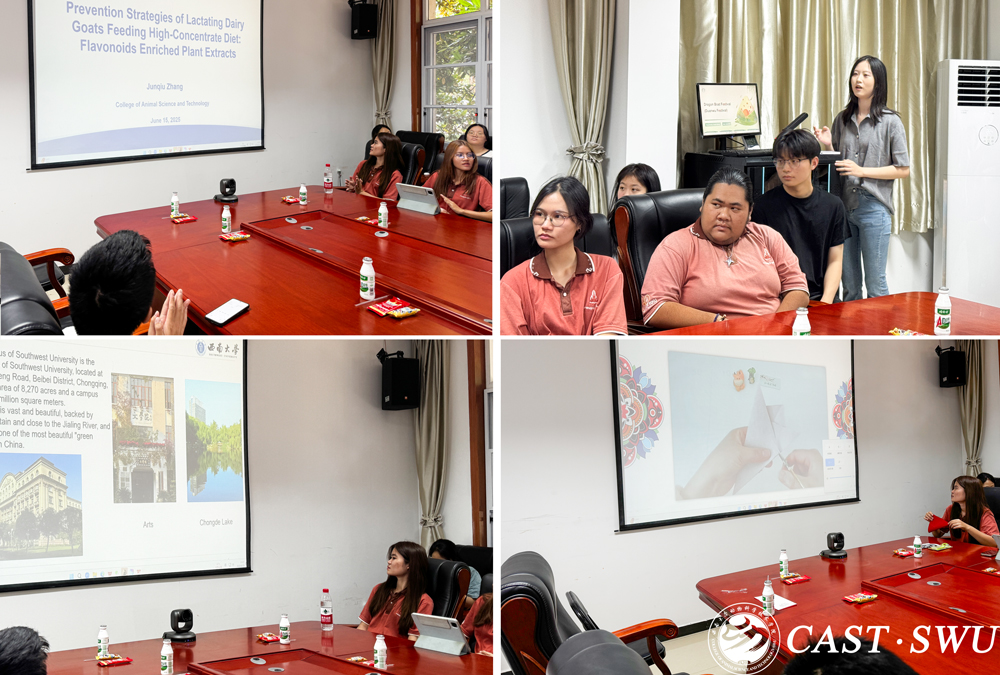 pa视讯官方集团