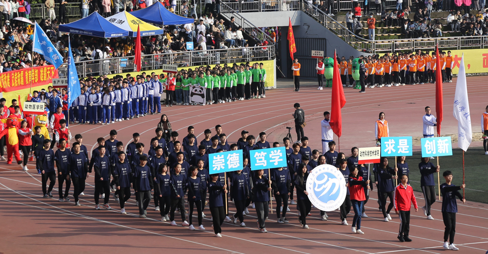 pa视讯官方集团