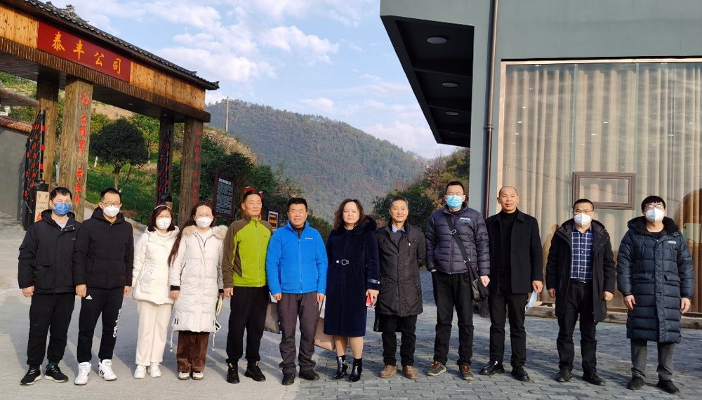 pa视讯官方集团