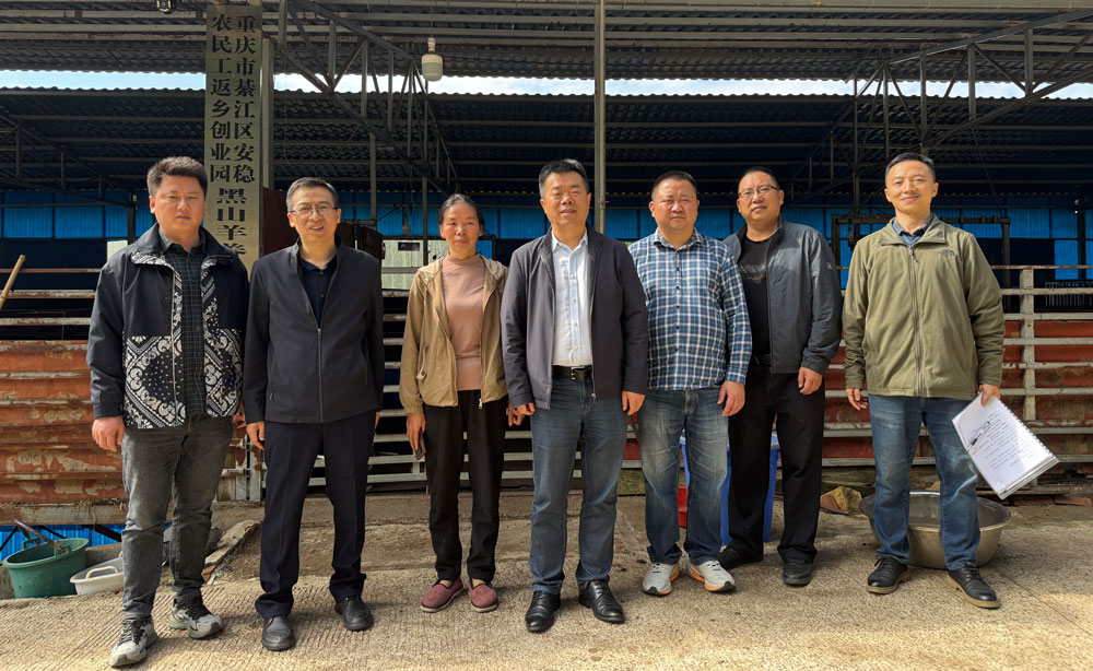 pa视讯官方集团