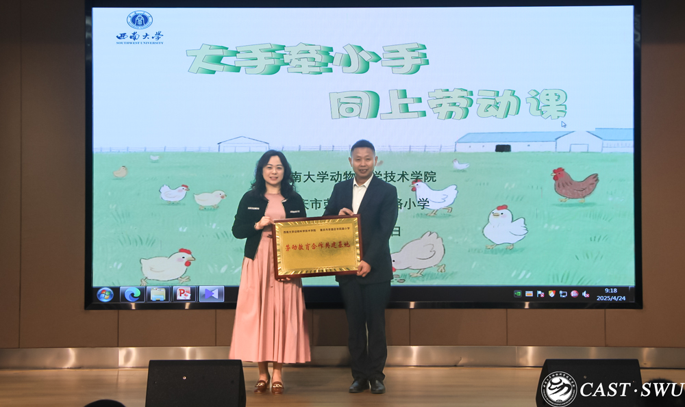 pa视讯官方集团