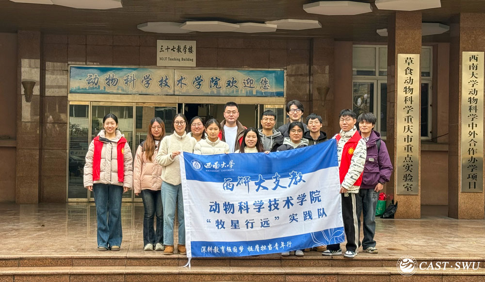 pa视讯官方集团