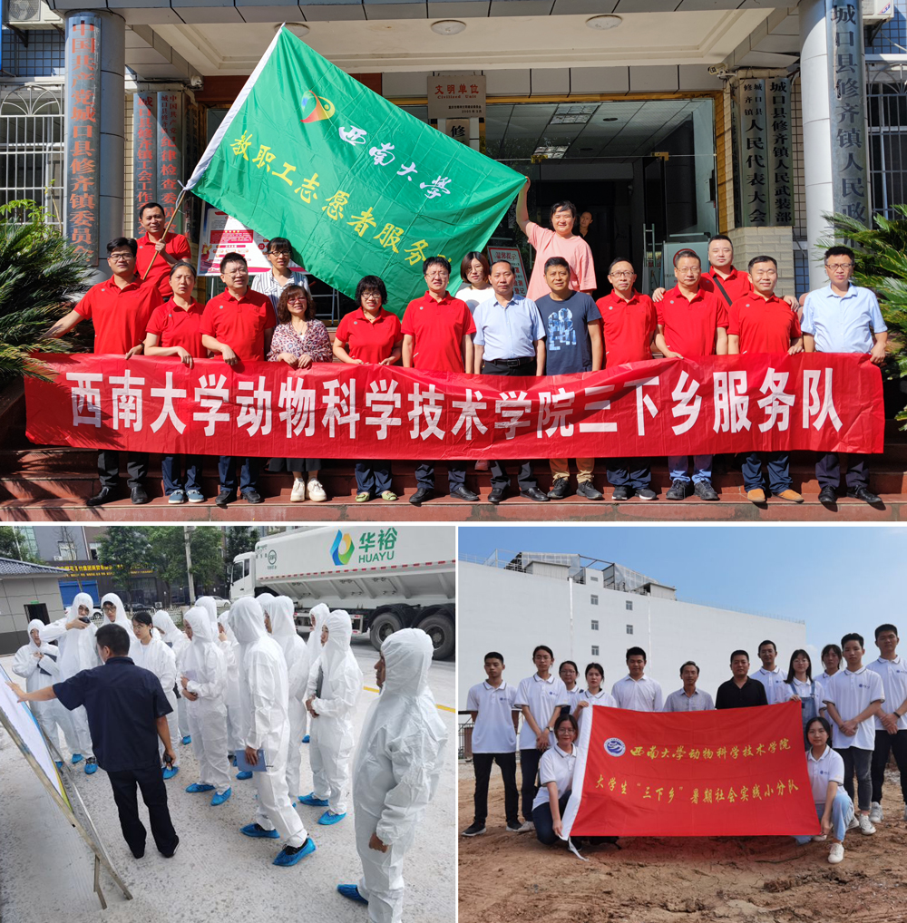 pa视讯官方集团