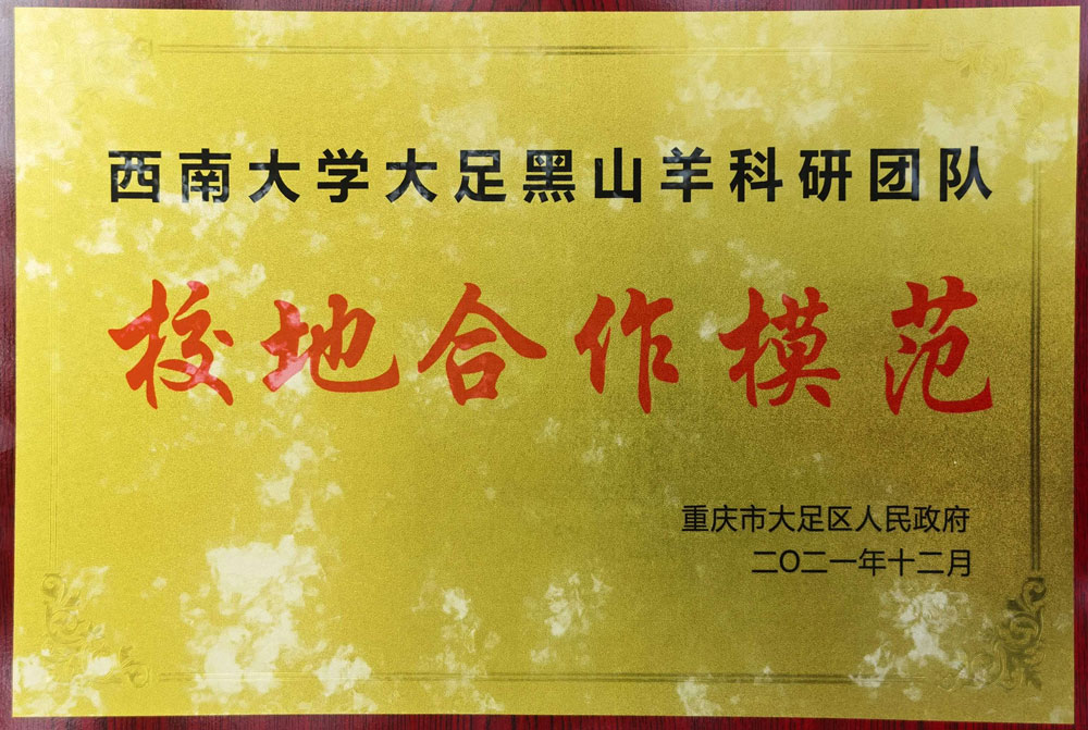 pa视讯官方集团