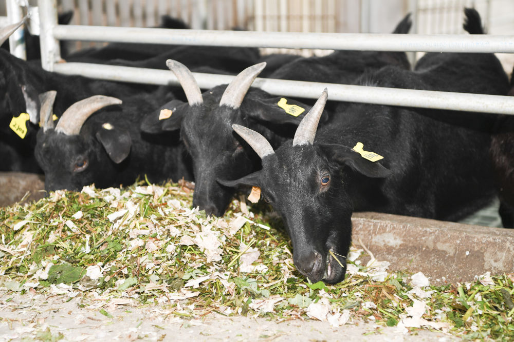 pa视讯官方集团